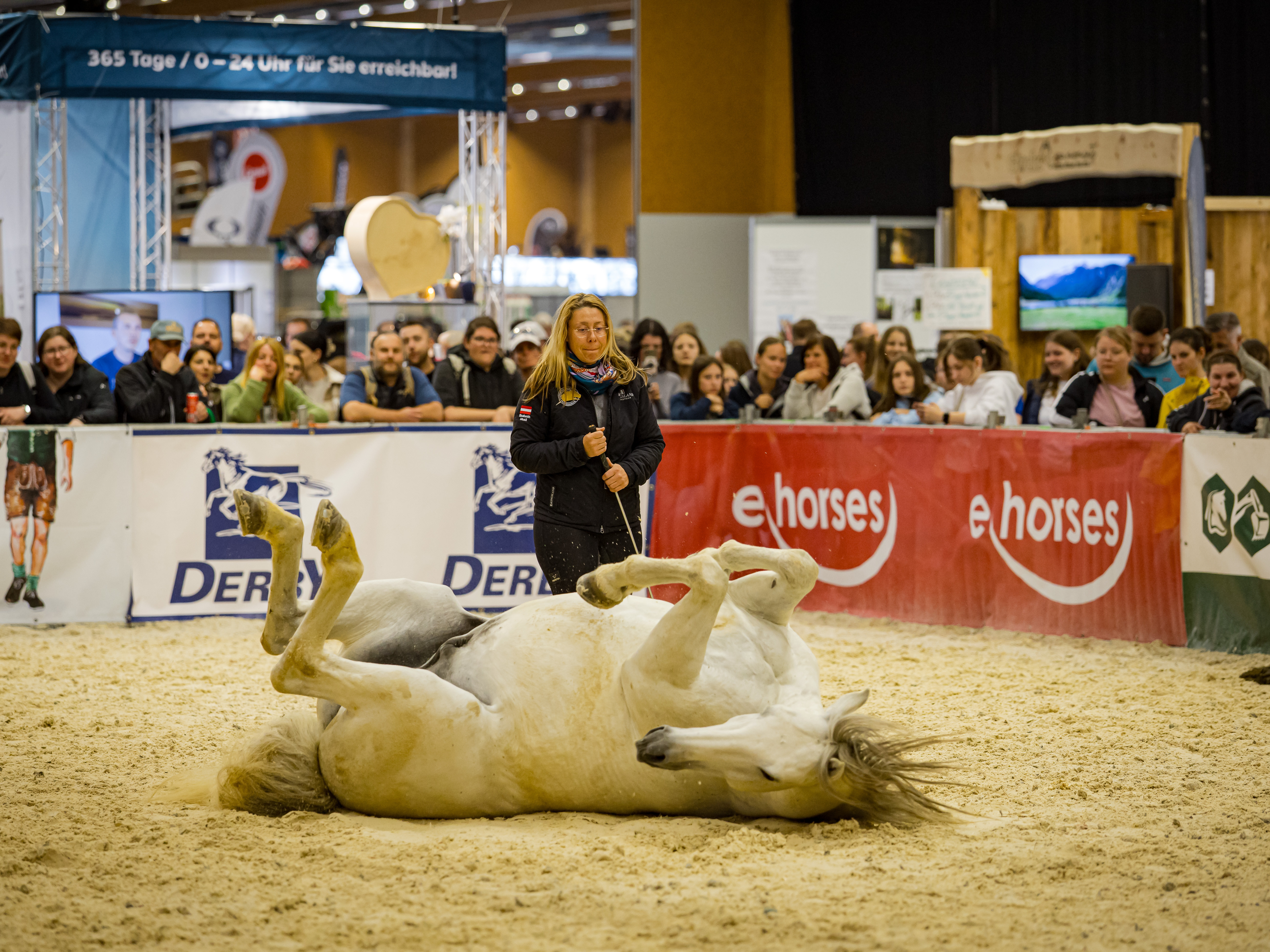 Parelli Natural Horsemanship - für Pferd und Mensch