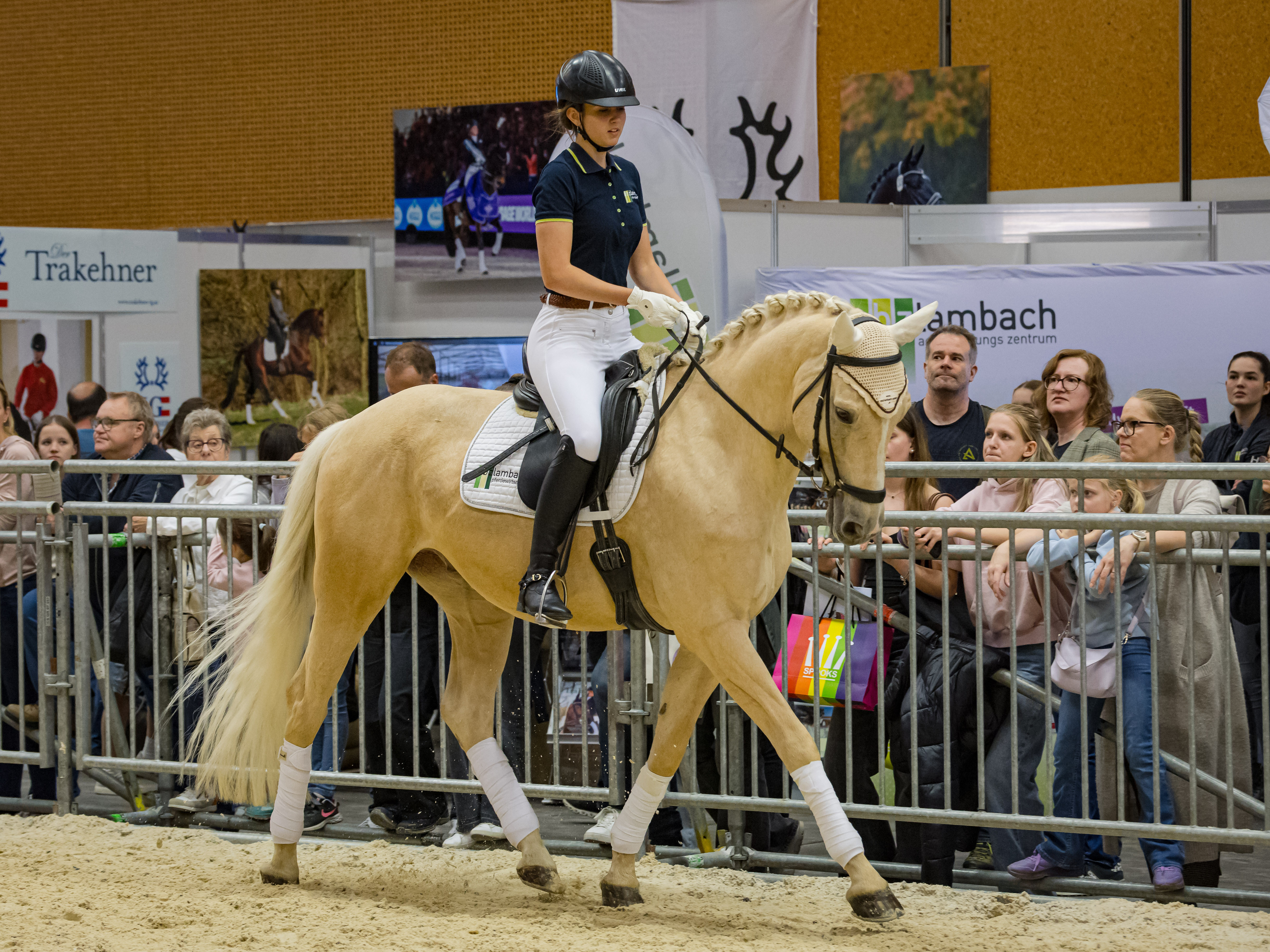 Der Weg zum Pferdewirt – Bildungsinhalte