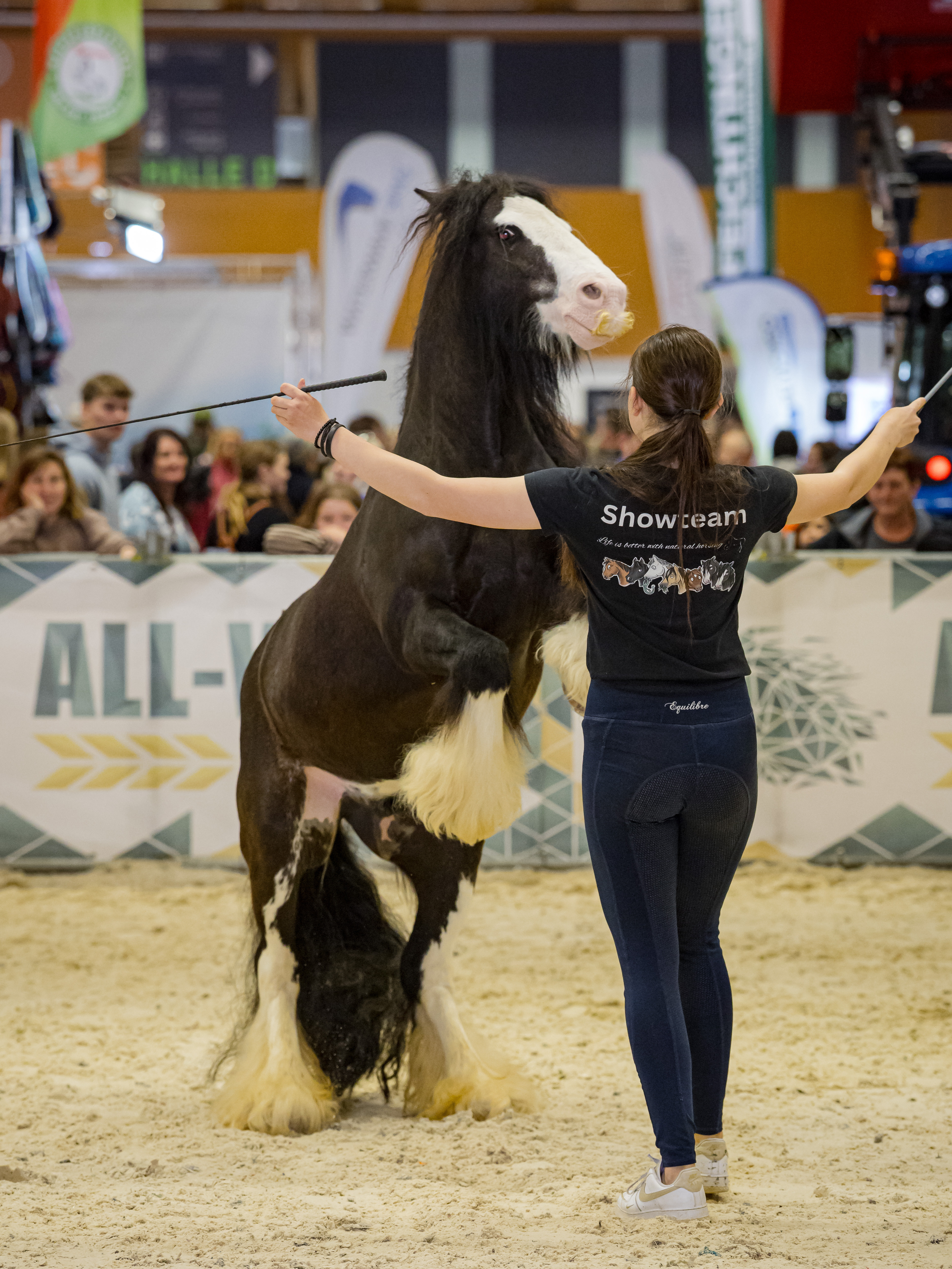 Freiheit & Freundschaft - Tinkerpony in Action