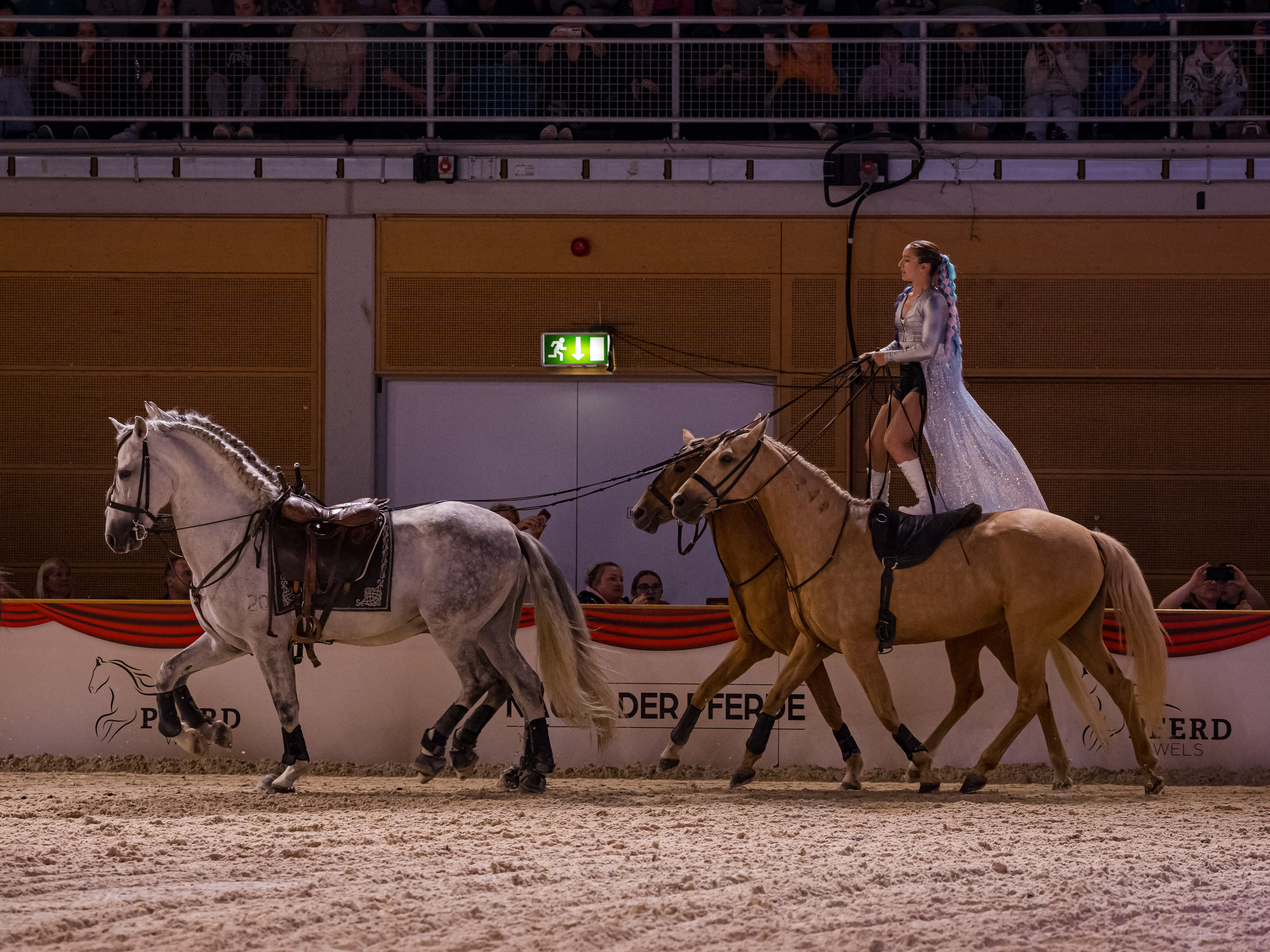 PFERD25_Nacht der Pferde_Quelle Michael Graf.jpg