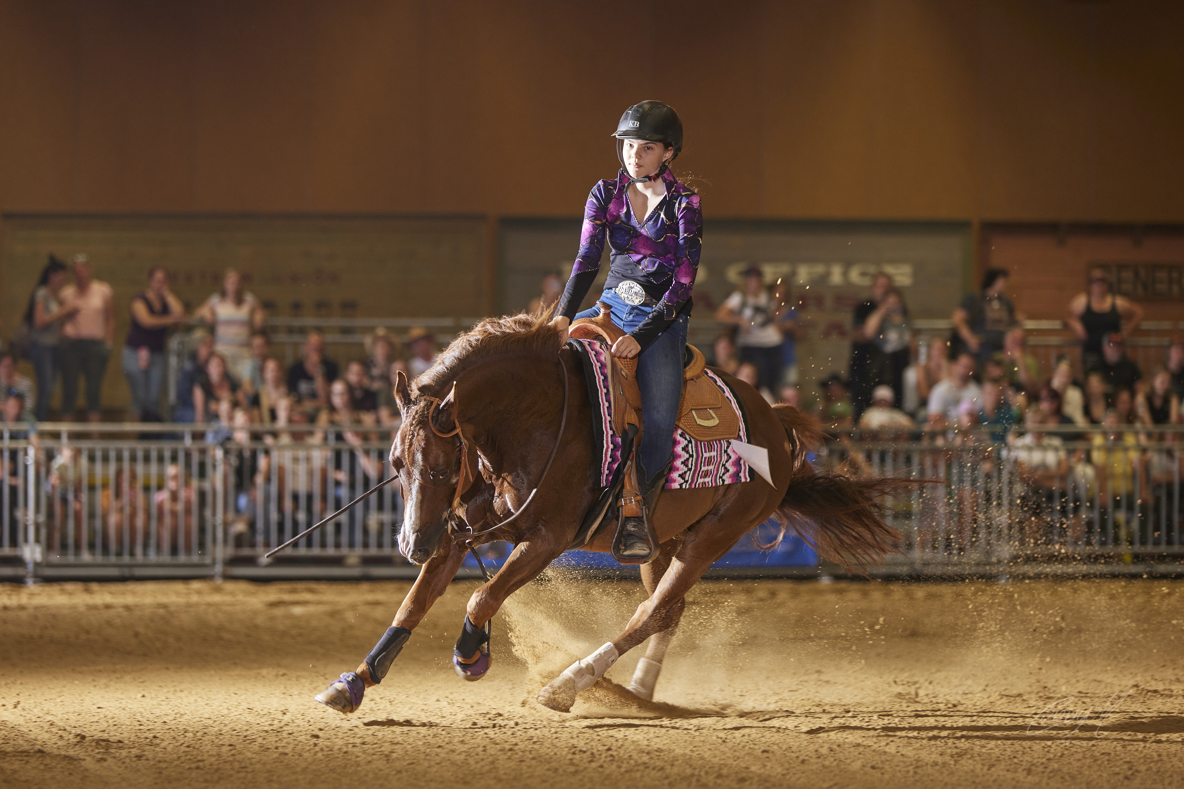 PFERD25_Western_REINING_Bildquelle connymphotography (2).jpg