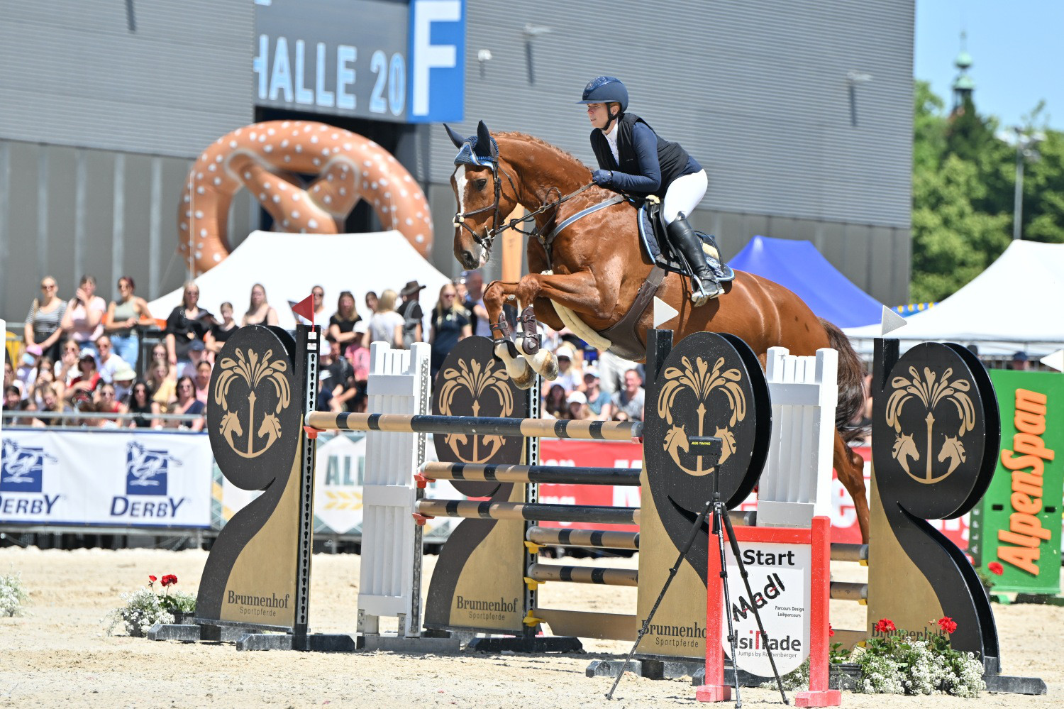 PFERD25_Springturnier_Quelle TEAM Myrtill_.JPG