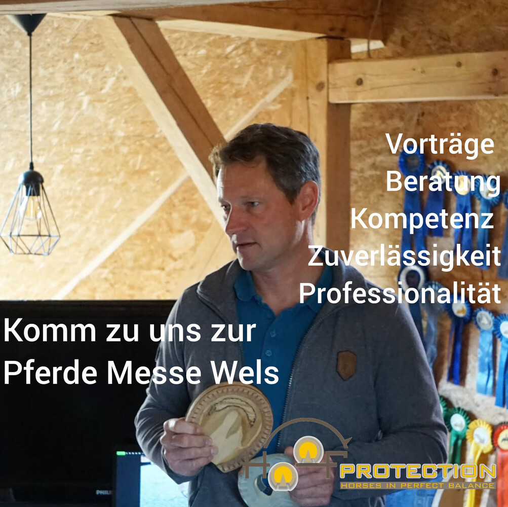 Hoofprotection 1.jpeg