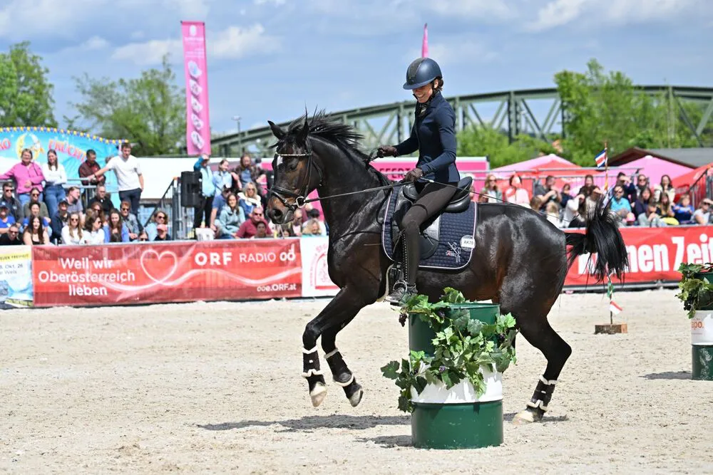 Working Equitation Turnier