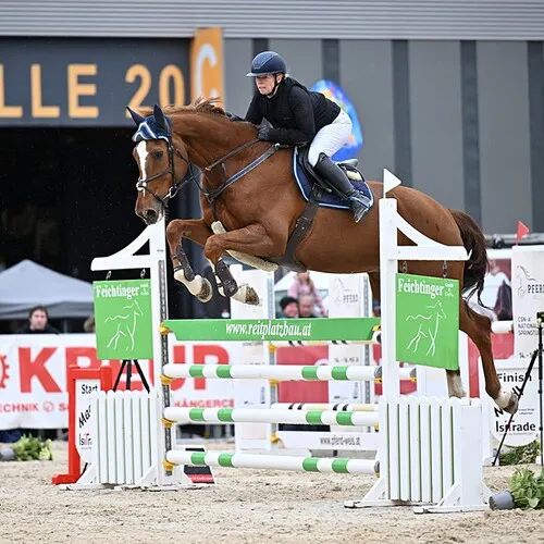PFERD26_CSNA_Quelle TEAM Myrtill_noehbauer_katrin_GER.jpg