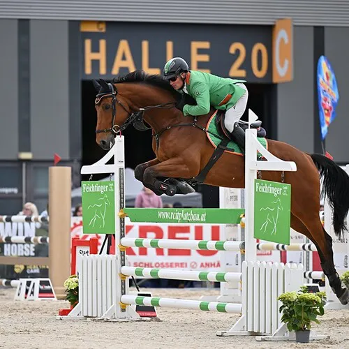 PFERD26_CSNA_Quelle TEAM Myrtill_1_1_koefler_dieter_AUT.jpg