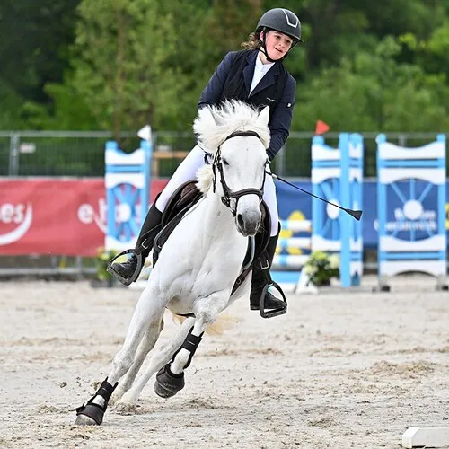PFERD26_CSNA_Quelle TEAM Myrtill_7_koenig_larissa_AUT.jpg