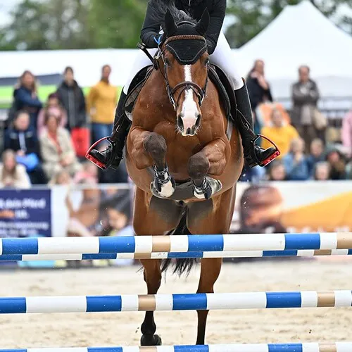 PFERD26_CSNA_Quelle TEAM Myrtill_gugelfuss_viktoria_GER1.jpg