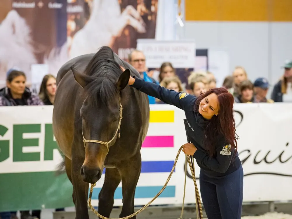 Impressionen Pferd Wels 2025