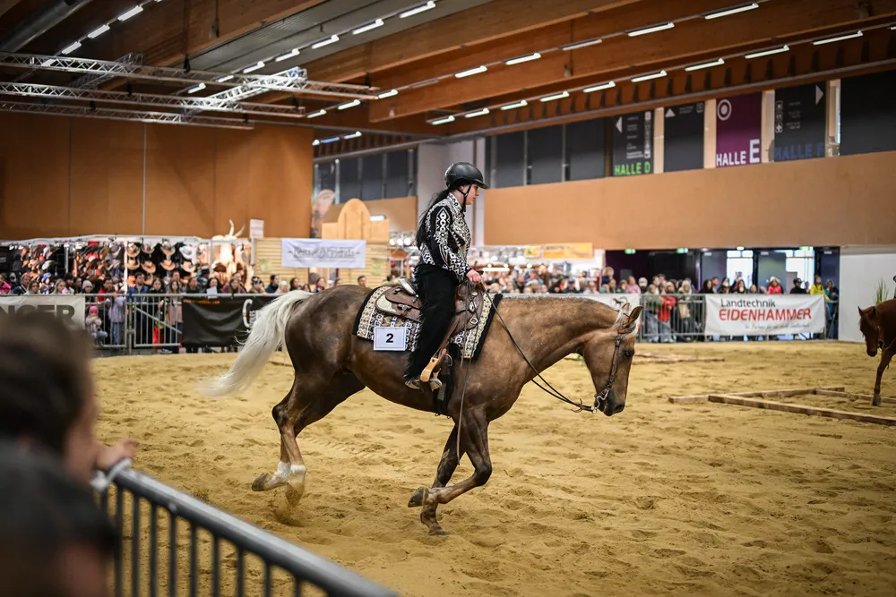 Impressionen PFERD Wels