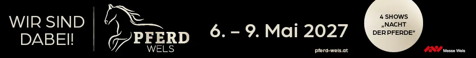728 x 90 px