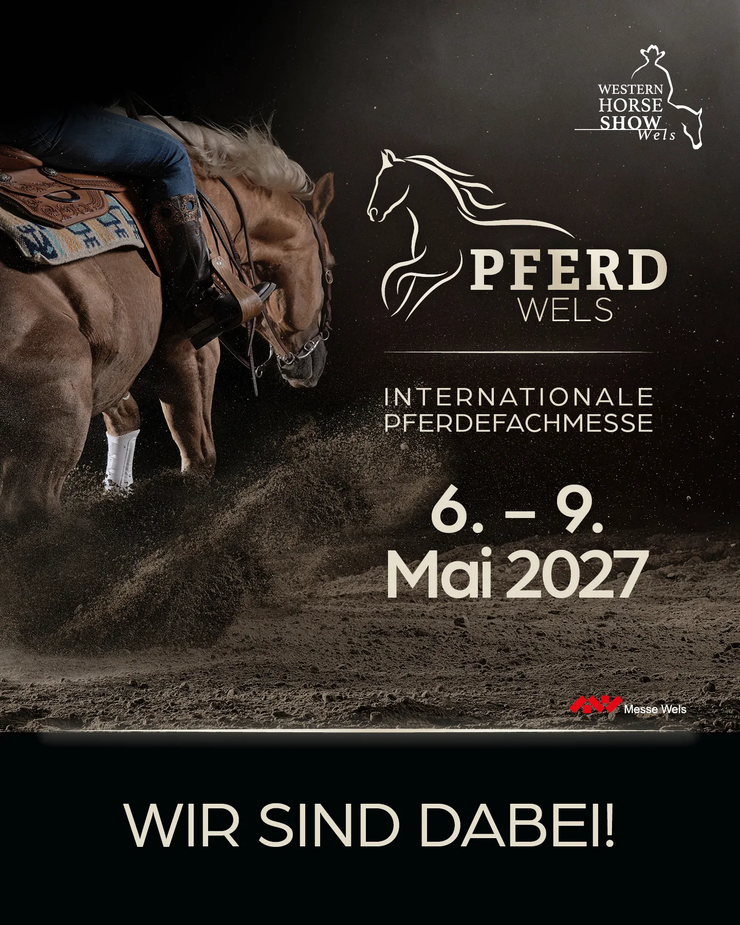 Pferde Show