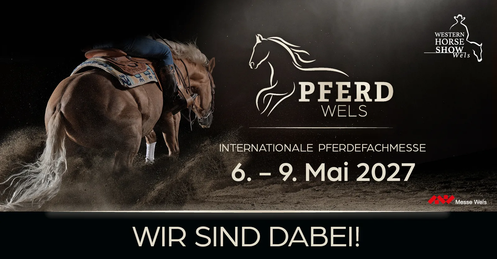 Pferde Show