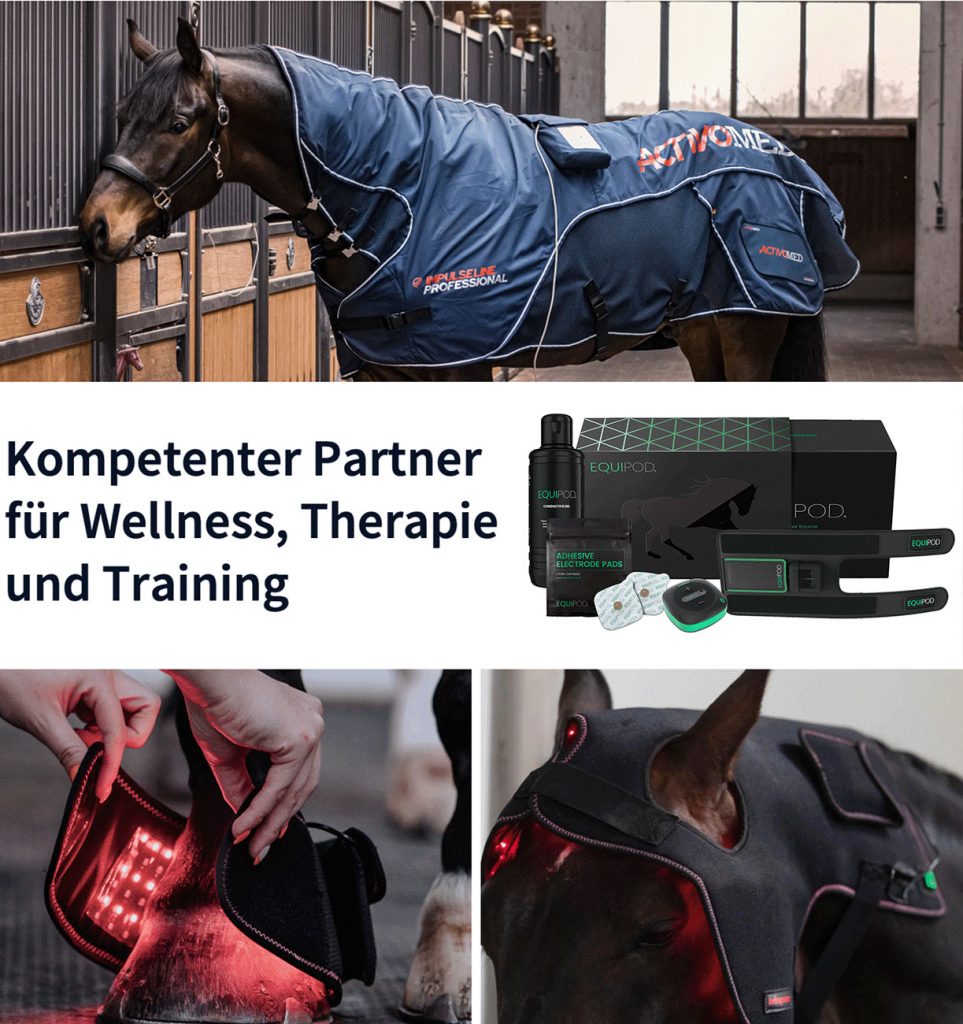 KWS Pferdesport – Ihr kompetenter Partner für Wellness, Therapie und Training!